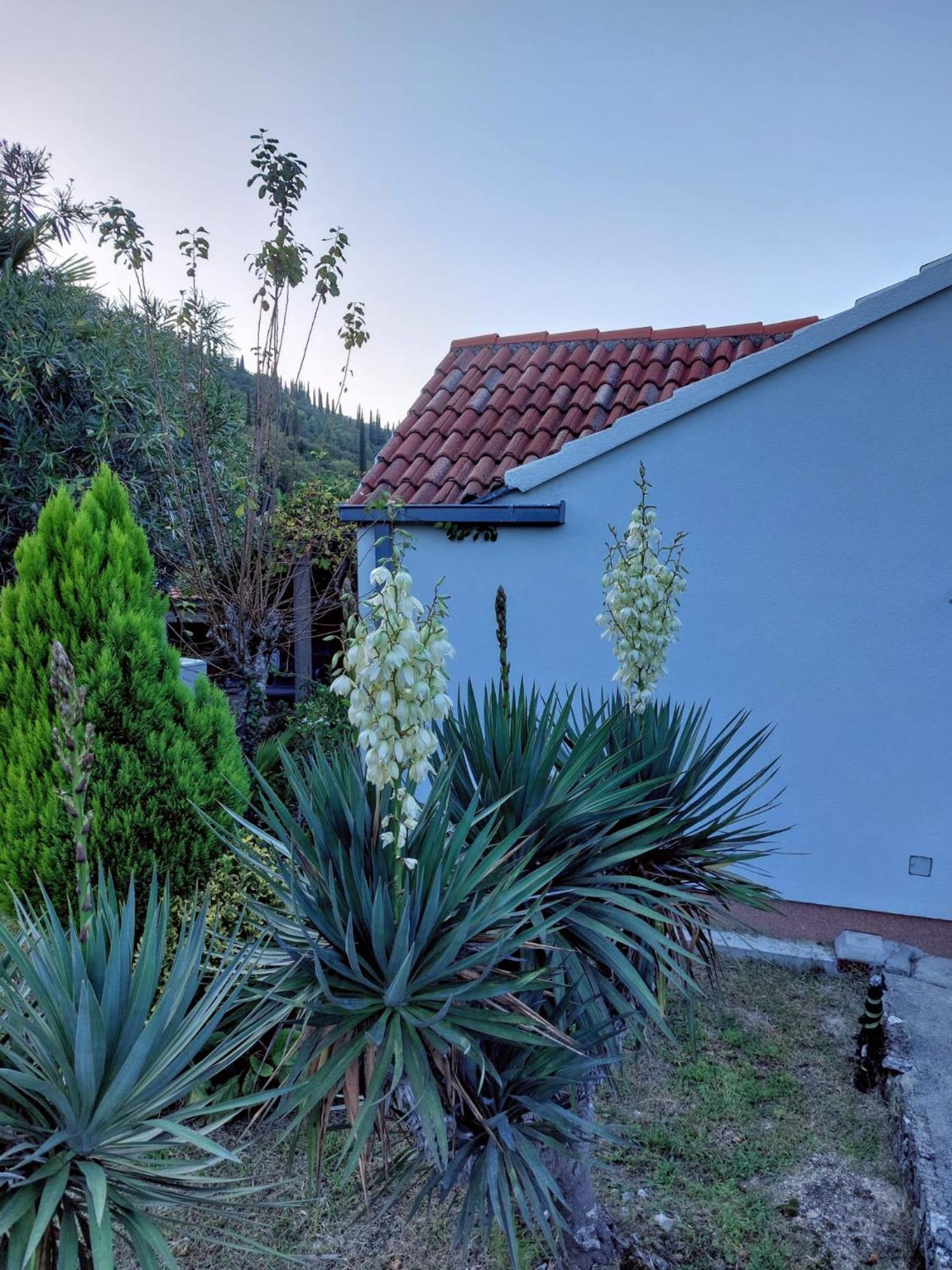 Holiday Home Sunrise Gruda Exterior foto